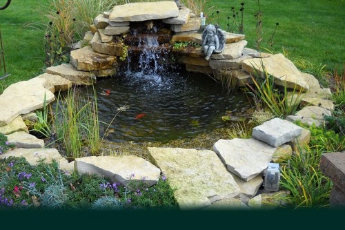 Custom pro complete pond - complete,