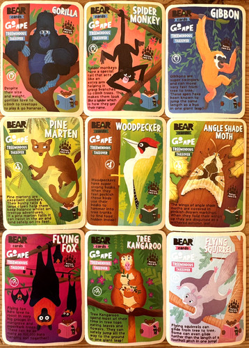 Yoyo bear animals full - yoyo,