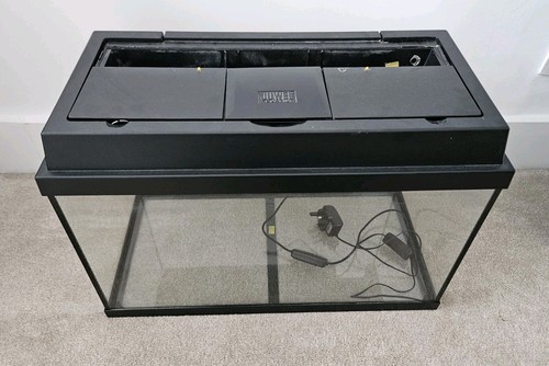 Juwel aquarium fish tank - aquarium,