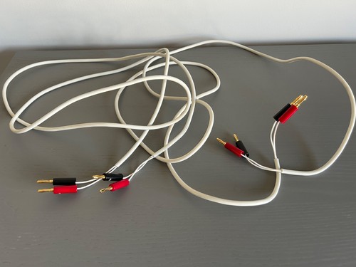 Chord company rumour - company, speaker