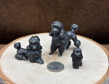 VTG Miniature Poodle Family