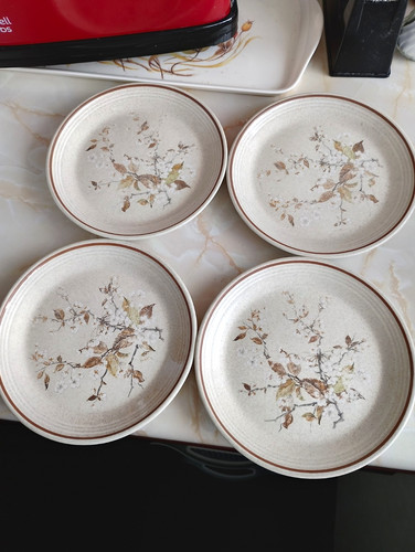 Royal doulton wild - royal,