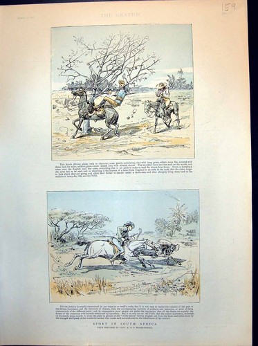 Antique print sport south - sport,