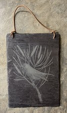 Robin On Scots Pine Wall Slate
