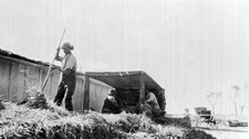 A man using a chaff cutter