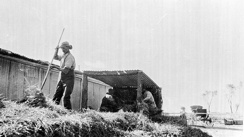 Man using chaff - a,