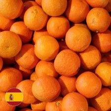 Fresh Seville Marmalade