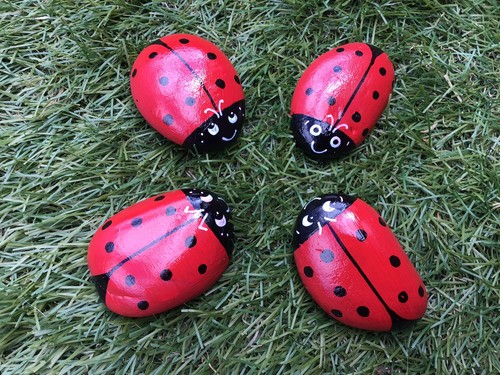 Hand painted ladybird ladybug - painted,