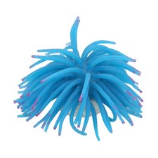 Beautiful Luminescent Coral