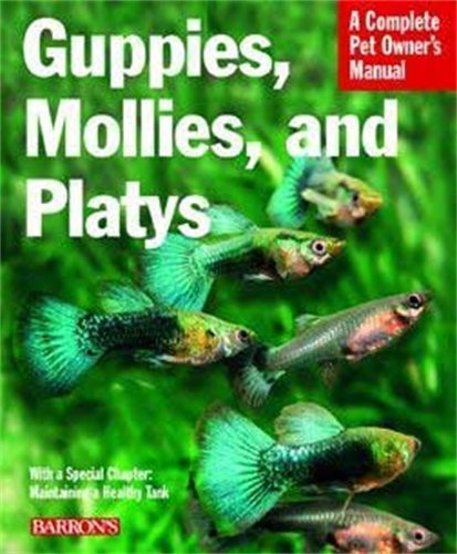 Guppies mollies and platys - mollies,,