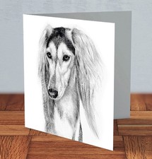 Saluki dog breed Greeting Card