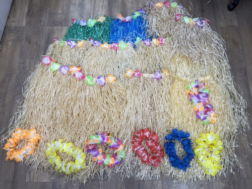 Hula skirt bundle - hula, dress