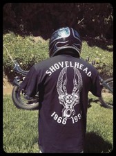 Winged Shovelhead Engine black