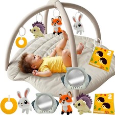 Baby Play Gym Mat with 6