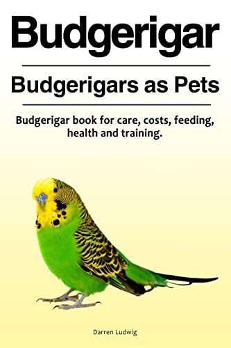 Budgerigar budgerigars as - budgerigar.,
