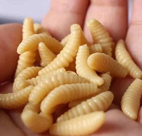 Bait worms plastic fishing - bait,