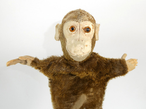 Monkey with glass eyes hand - monkey,