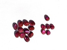 92  Red Dyed Abalone Shell