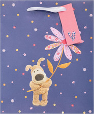 Boofle | Medium Gift Bag for Her/Friend | Party Bags for Presents | Birthdays/We