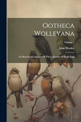 Wooley ootheca wolleyana an - wooley,