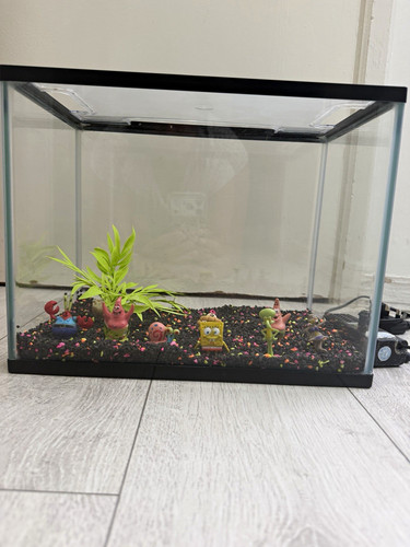 Glass rectangular 10l aquarium - glass,