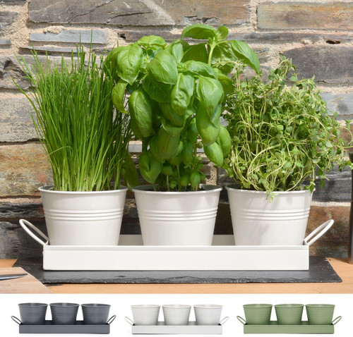 Set metal herb pots - of,
