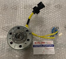 Complete flywheel stator - complete,