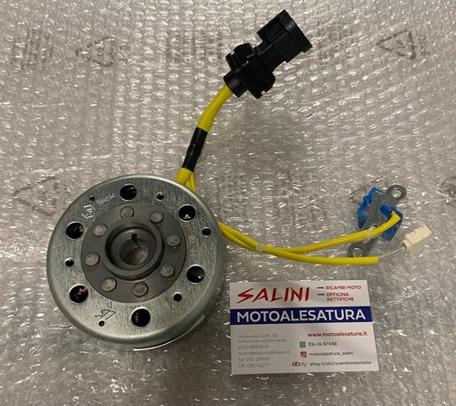 Complete flywheel stator - complete,