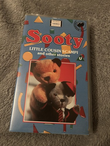 Sooty little cousin - little, scampi