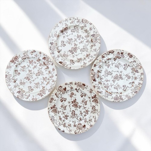 Victorian plates brownfield - 4,