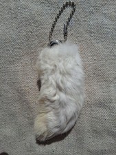 Lucky Rabbit's Foot