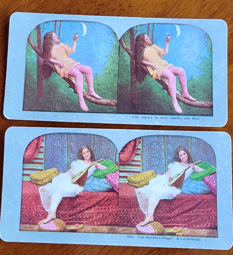 Antique stereoview pair - antique,