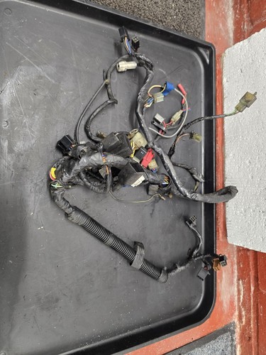 Kr1s full main wiring loom - main,