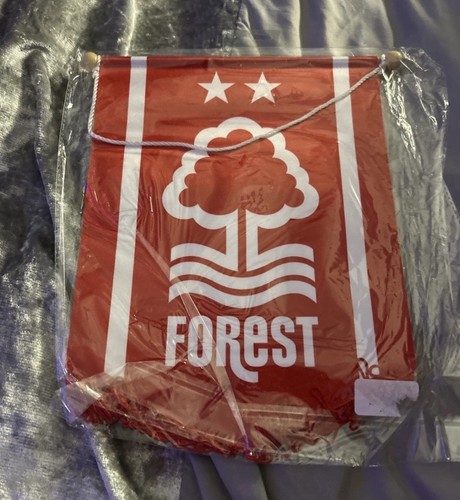 Nottingham forest football - nottingham,