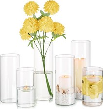 Glasseam glass cylinder vases - glass,