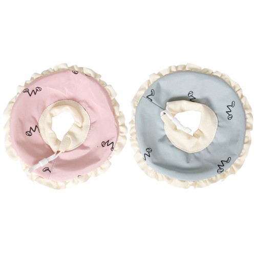 Cute small pet - pet, collar