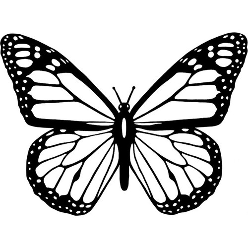 Abstract butterfly vinyl - butterfly, decal