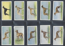 CHURCHMAN - RACING GREYHOUNDS - FULL SET OF 50 CARDS