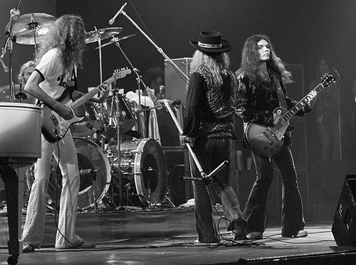 Guitarist allen collins - guitarist,