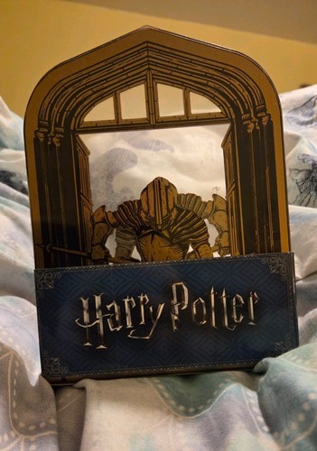 Harry potter locomoter - harry, book