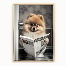 bathroom POMERANIAN DOG ON