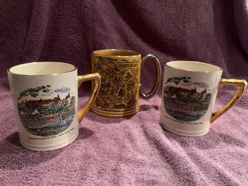 Mugs from caldey island - mugs,