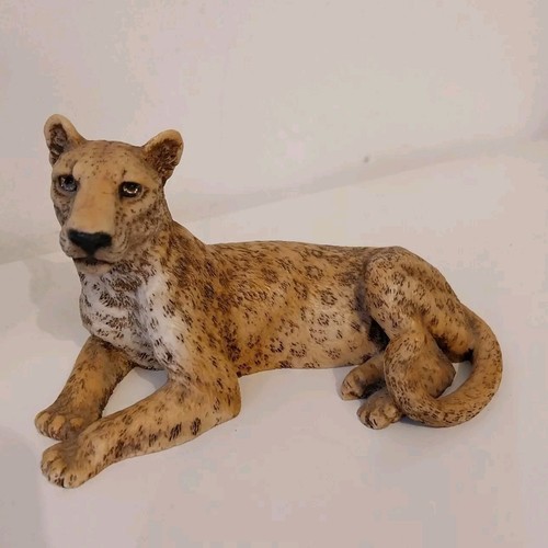 Original castagna animal - castagna,
