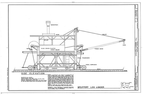 Longleaf louisiana crowell - longleaf,