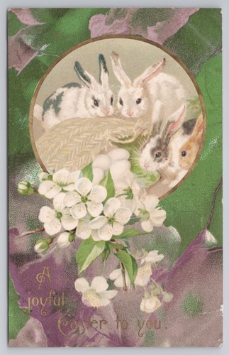 Easter bunnies basket cherry - easter,