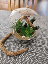 Shelf Ornament Beach/ Plants