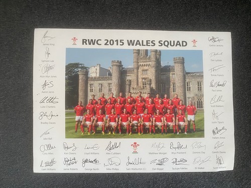 Wales 2015 world cup squad - world,