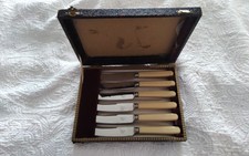 Vintage boxed set of 6 butter/tea knives with faux bone handles