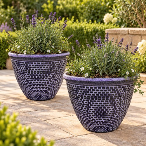 Set large 36cm purple - set,