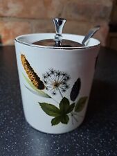 Midwinter Stylecraft RIVERSIDE - Preserve Jam Pot and Spoon - mid-century retro